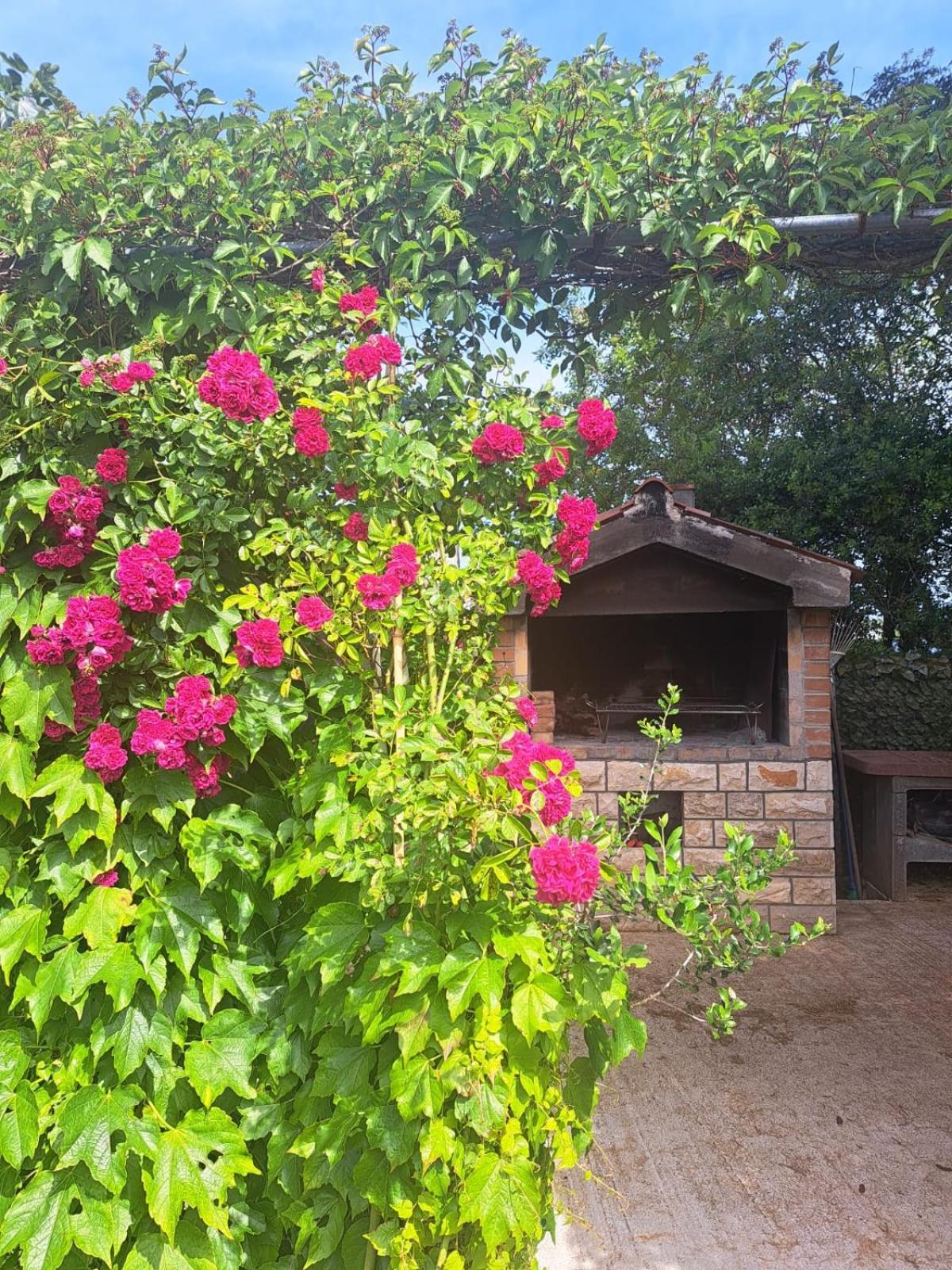Apartman Melita Galižana Exterior foto