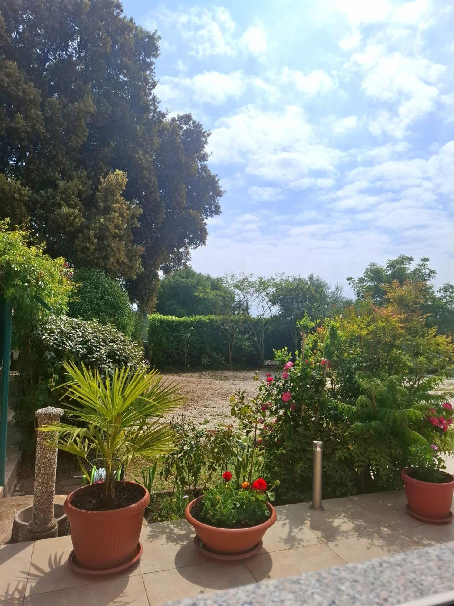 Apartman Melita Galižana Exterior foto